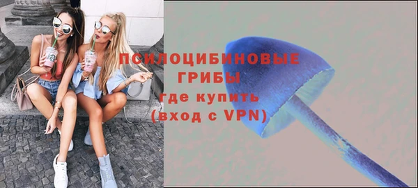 прущий лед Абаза