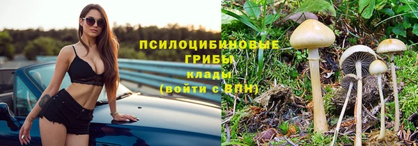 прущий лед Абаза