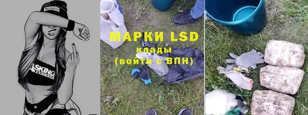 амф Алзамай