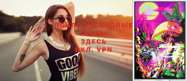 прущий лед Абаза