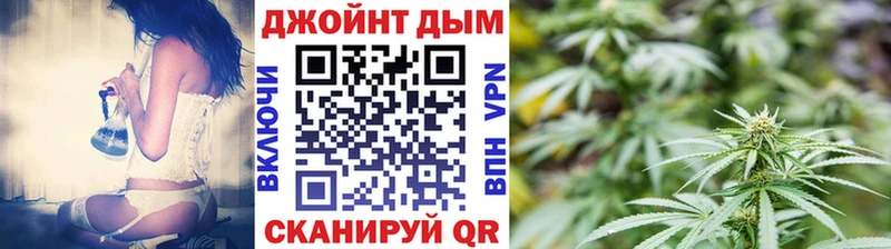 Конопля гибрид купить наркотики цена Котельнич